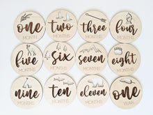 Load image into Gallery viewer, Monthly milestone wood cards featuring birds, mountains, bear, deer, fish!