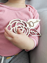 Load image into Gallery viewer, Rose Baby Milestone Cards | Monthly Birthday Cards