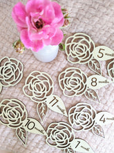 Load image into Gallery viewer, Rose Baby Milestone Cards | Monthly Birthday Cards