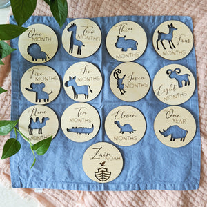 Cute Baby Animal / Noah's Ark Monthly Milestone Wood Cards